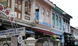 Little India Conservation Area (D8), Shop House #619485661